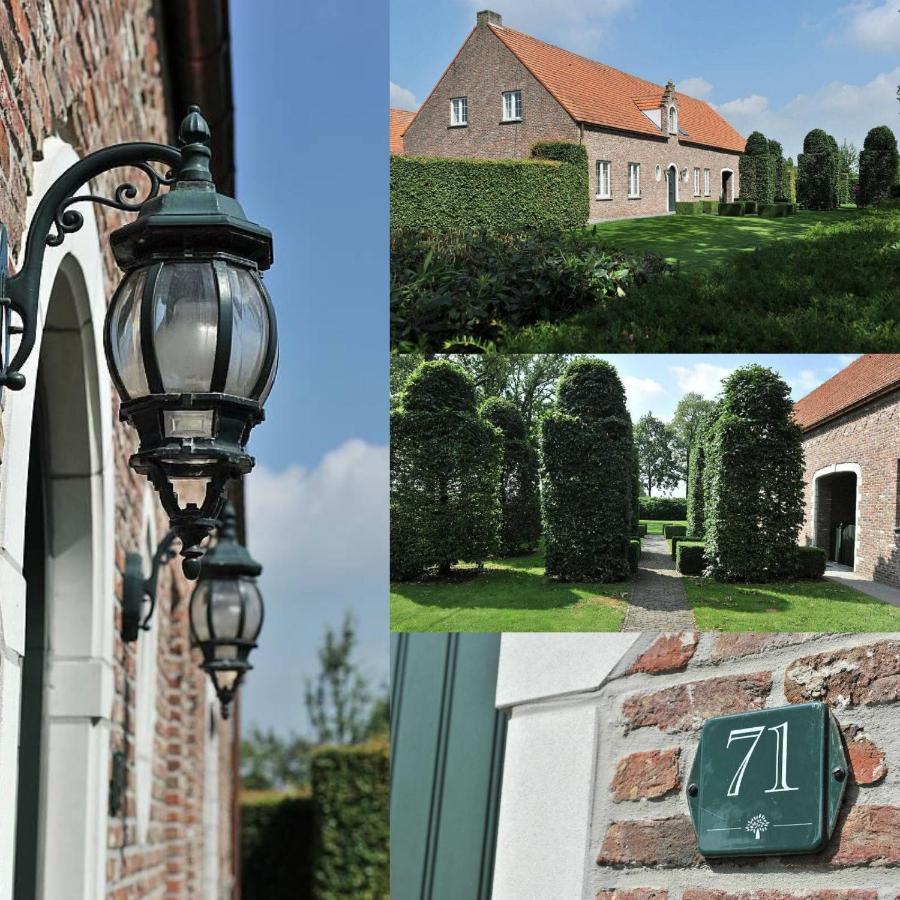 Villa71 Rijkevorsel Dış mekan fotoğraf